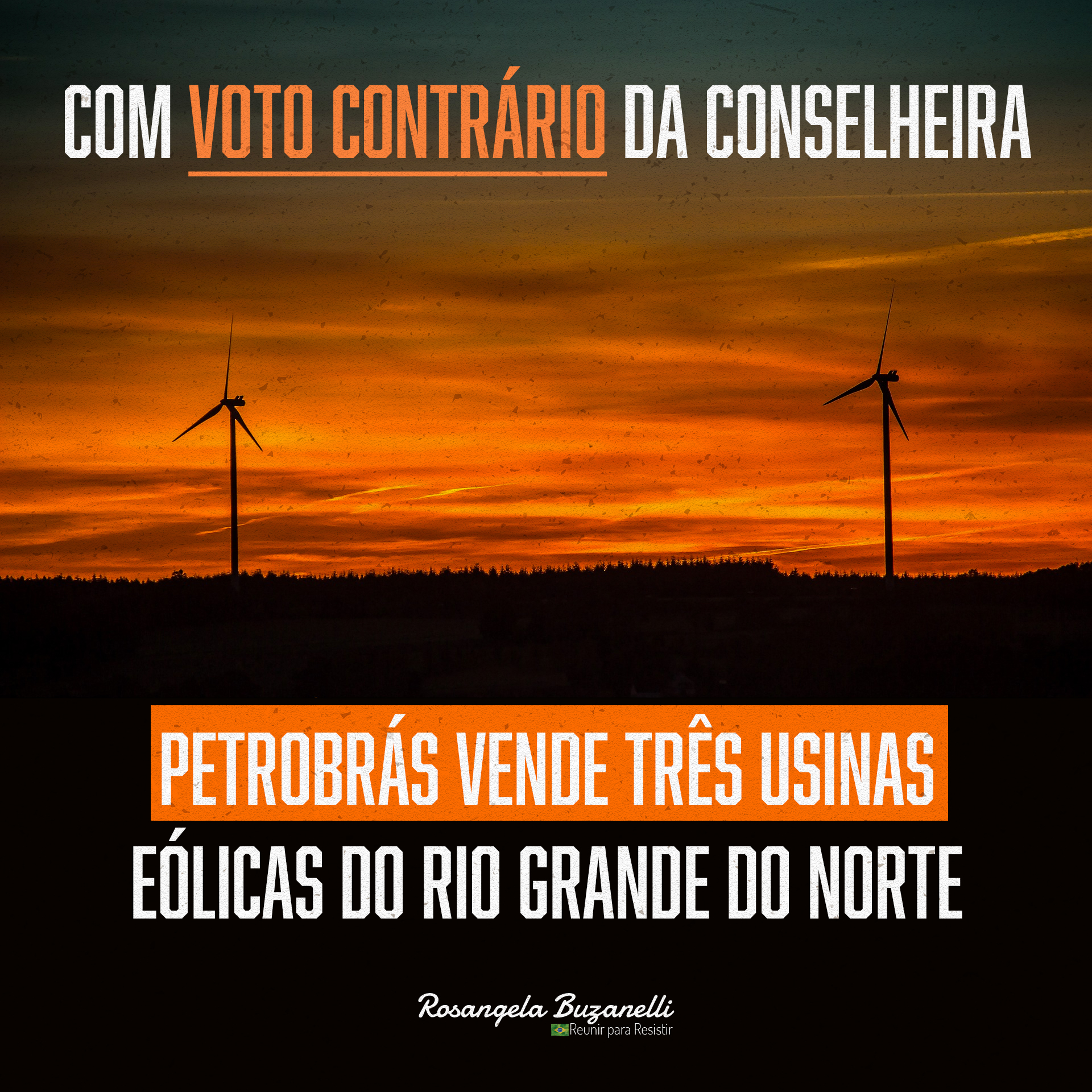 Com voto contrário da conselheira Rosângela Buzanelli, Petrobrás vende três usinas eólicas do Rio Grande do Norte