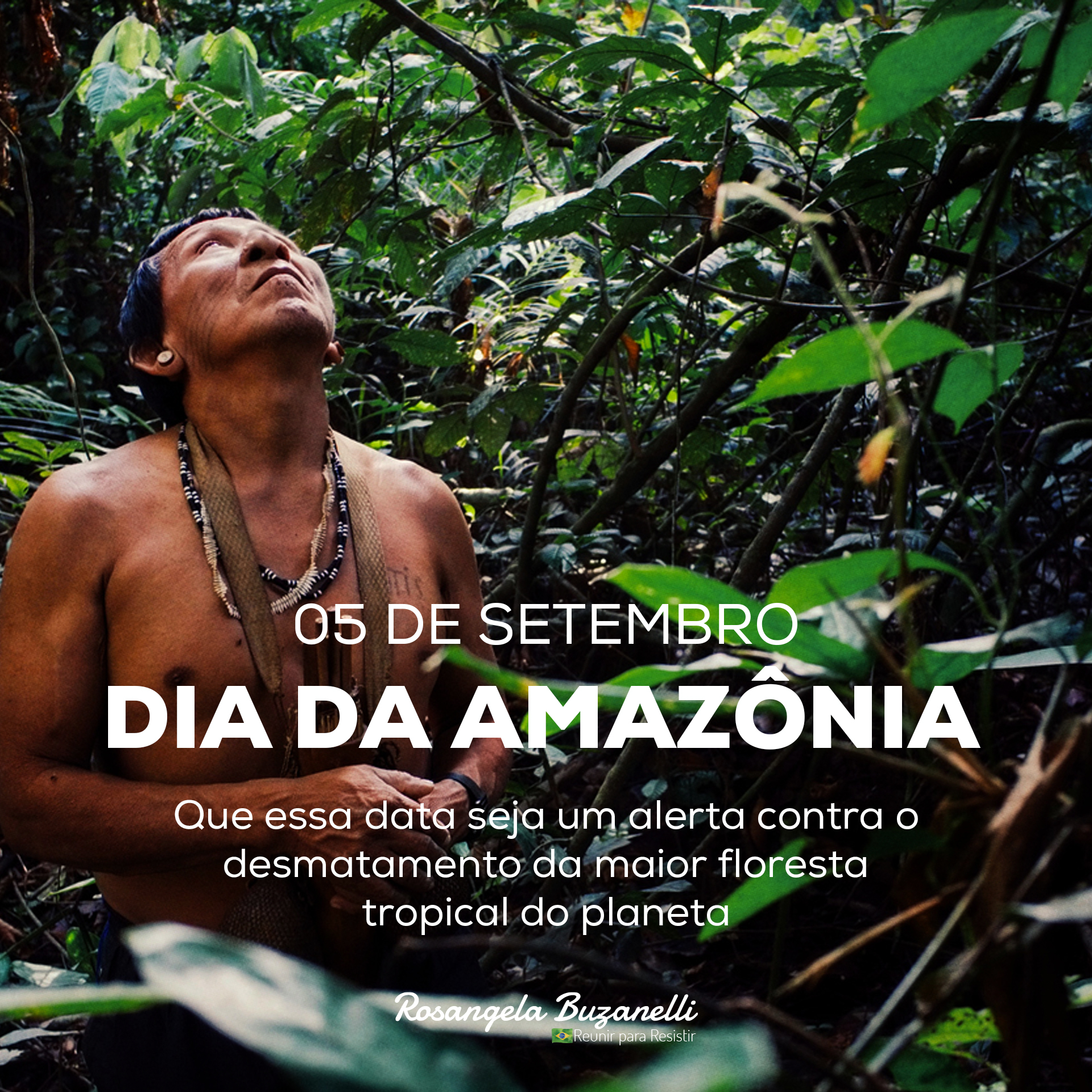 Um dia para celebrar a Amazônia e refletir sua importância para o planeta