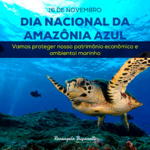 Dia Nacional da Amazônia Azul conscientiza sobre preservação das riquezas marítimas do Brasil