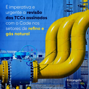TCCs assinados entre Cade e Petrobrás nas áreas de refino e gás natural são acordos para entrega do patrimônio público e devem ser revistos com urgência