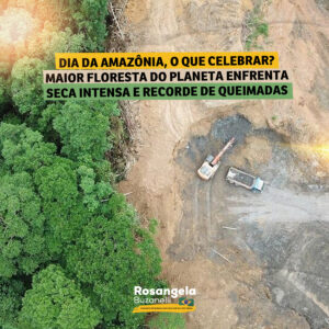 Dia da Amazônia reforça cenário caótico do bioma e necessidade de ações para preservação da floresta