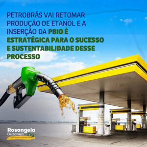 Petrobrás vai voltar a investir em etanol e ambiciona se tornar uma das principais produtoras do país